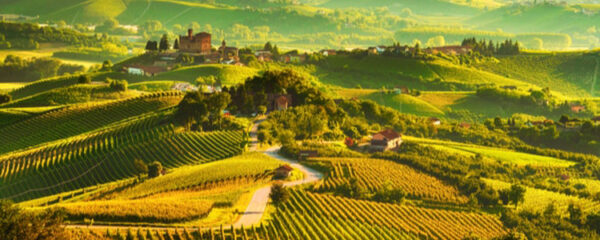 regione vinicola d'Italia